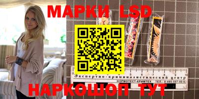 стаф Белореченск