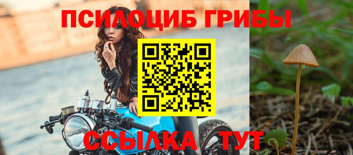 Псилоцибиновые грибы Magic Shrooms  Вход с VPN  Большой Камень  Галлюциногенные грибы Psilocybine cubensis 